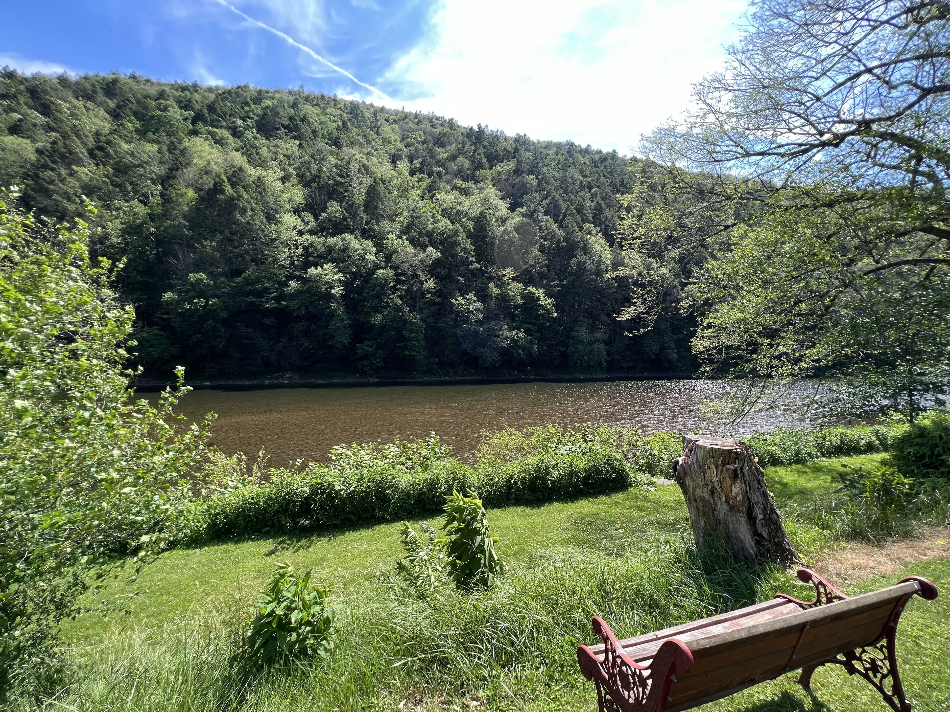 Otter Lodge on Pine Creek - private creek access!