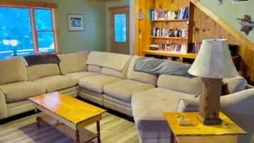 Smart TV, chimenea, reproductor de DVD y libros