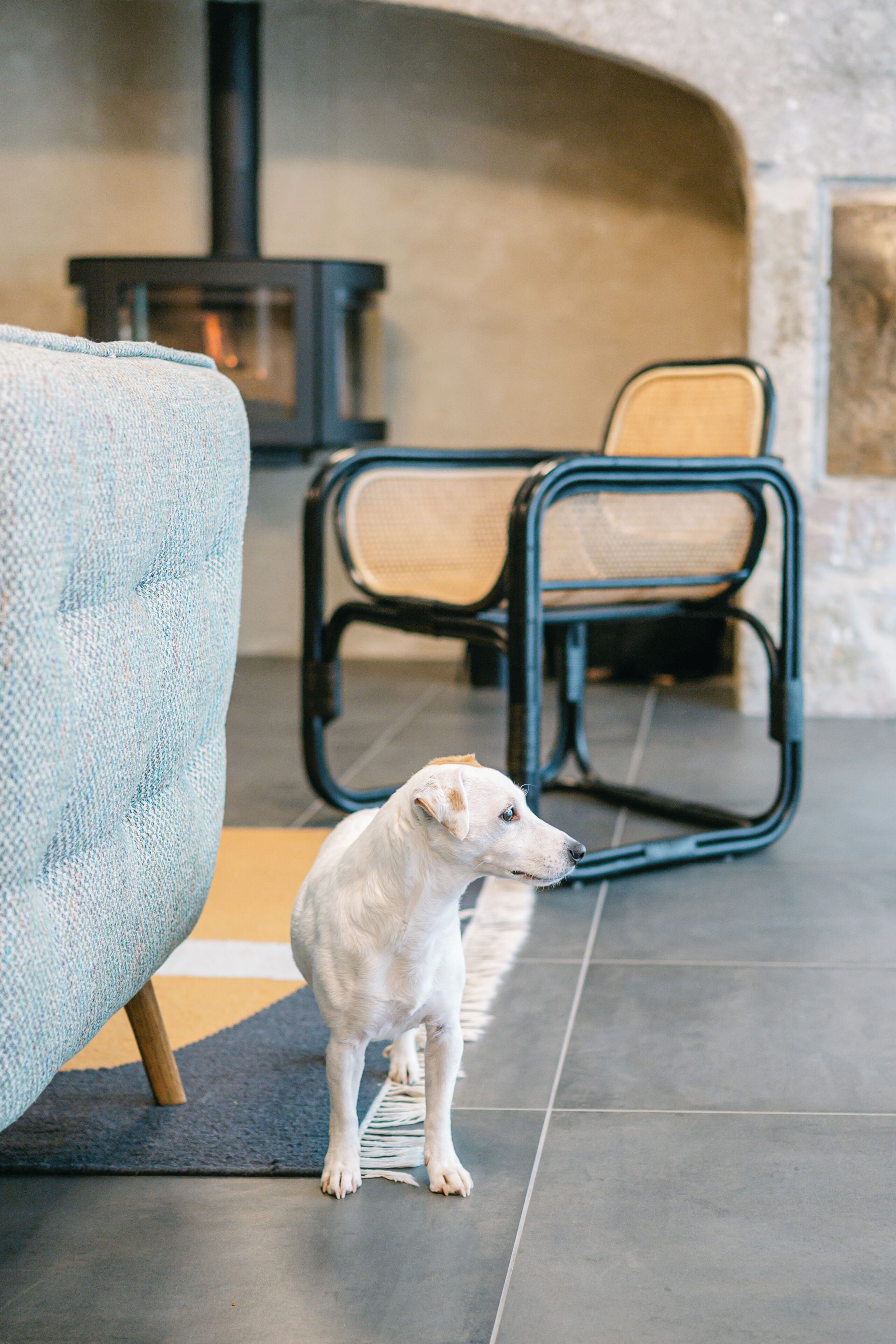 Pet-friendly