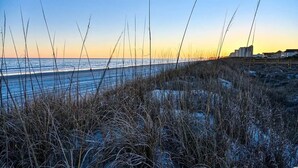 På stranden, solsenger og strandhåndklær