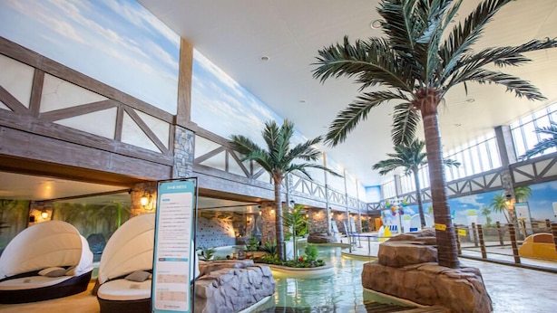 Un vaste atrium intérieur doté d’une piscine, de palmiers et d’un haut plafond agrémenté de lucarnes.