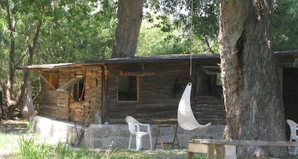 Former farmers' hut in the shade of century-old poplars