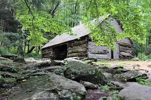 Situated in a forested area, this cabin features a steeply pitched roof and natural appearance.