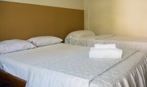Basic Room | Free WiFi - Alma Mendoza (Mendoza)