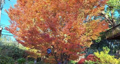 Lafayette Family Retreat near SF