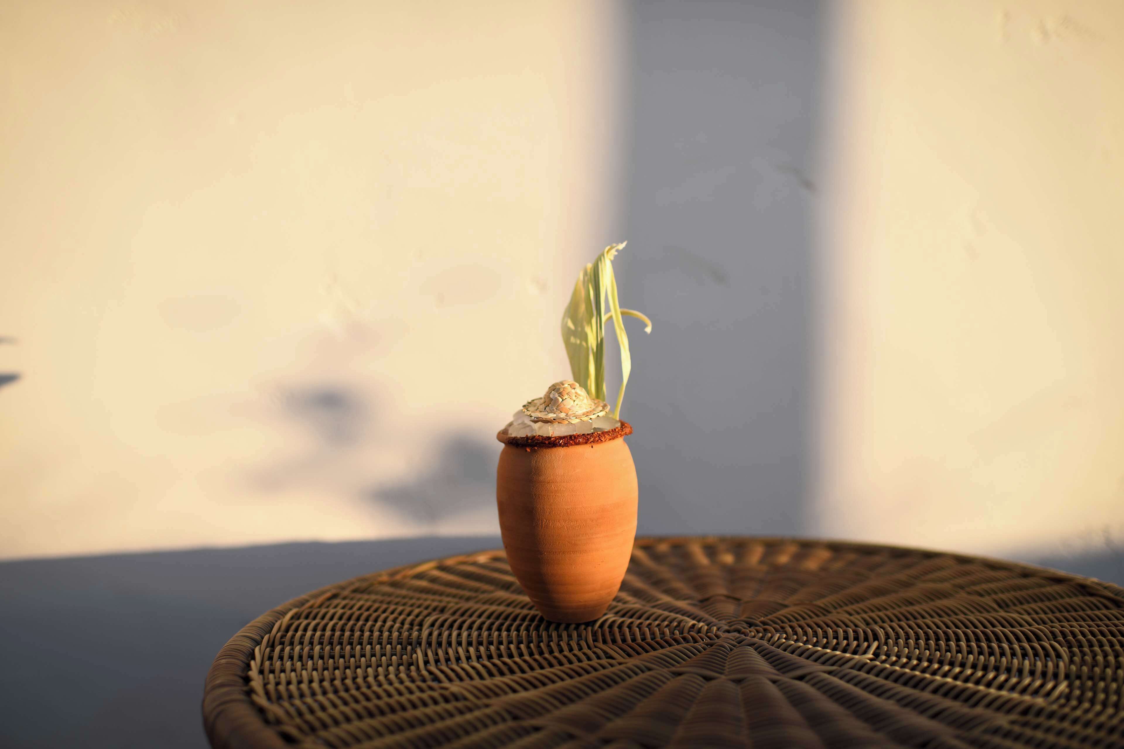 A terracotta pot with a plant on a woven round table against a plain wall.