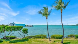 Vista sulla costa con cielo azzurro limpido, palme e un tratto d'acqua.