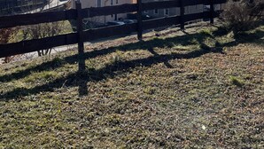 A rural town with a prominent church tower, houses with solar panels, and a wooden fence.