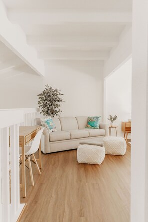 Smart TV, books, stereo, computer monitors