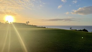 Un paisaje con césped, un atardecer sobre el océano, palmeras y edificios a lo lejos.