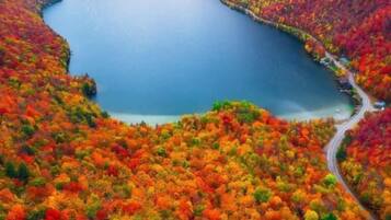 Un lac bordé d’arbres aux couleurs automnales et une route sinueuse.