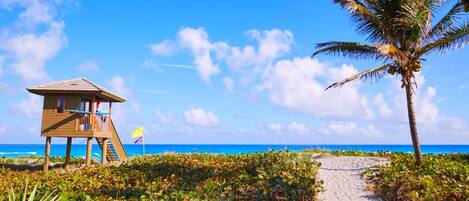 Playa en los alrededores