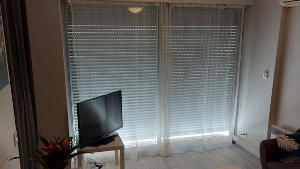 Ein modernes Wohnzimmer mit Flachbildfernseher, Couchtisch, Sofa und einer Zimmerpflanze.