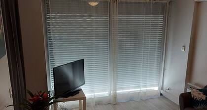 Studio type T2, hypercentre, furnished with air conditioning and parking