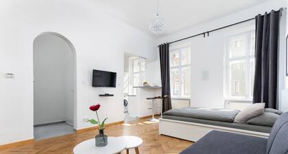 Newly renovated Bright apartment within walking distance to center and Metro U3