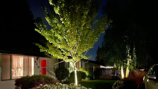 Et hus om natten med et veloplyst træ i forhaven, en bil parkeret til siden og et hegn i baggrunden.