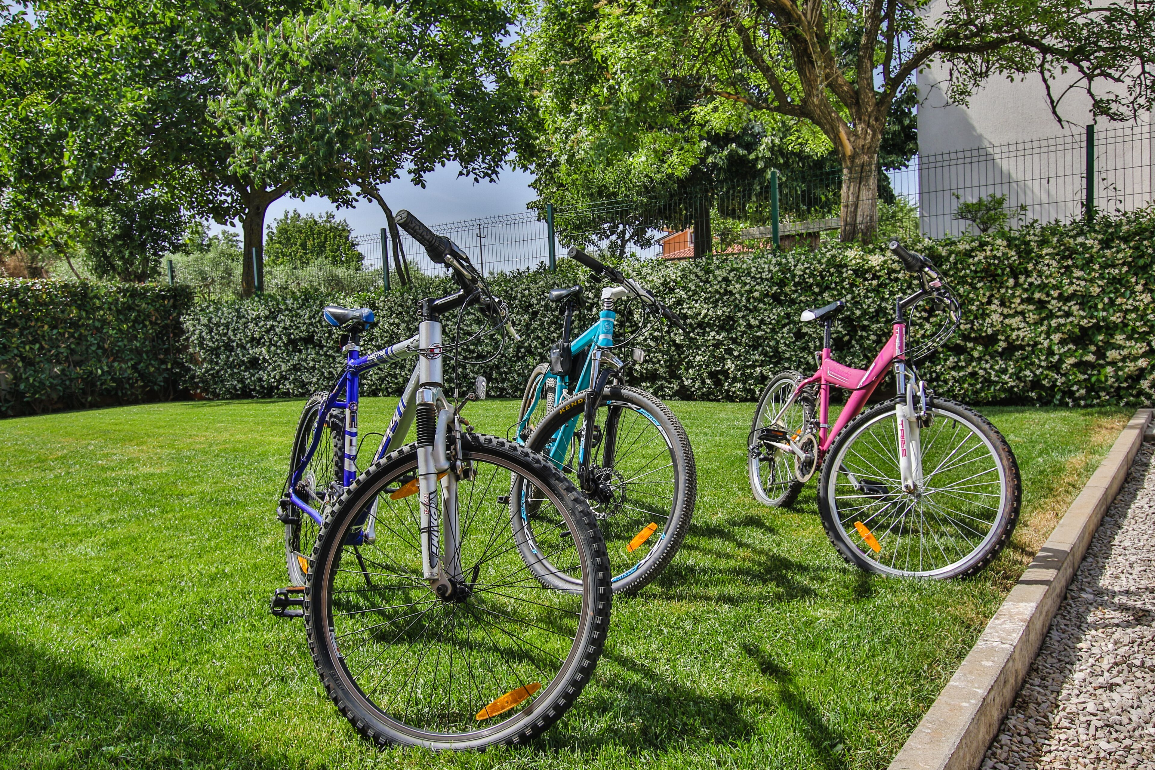 Three bicycles parked on a grassy area with a hedge and trees in the background.