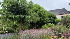 A garden with various plants and flowers, a tree, and a building in the background. - CHEZ CONTOU 1 - GEUS-D'OLORON (GEUS-D'OLORON)