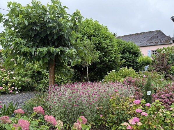Un jardín con diversas plantas y flores, un árbol y un edificio al fondo.
