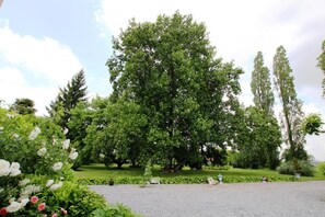 Overnattingsstedets uteområder