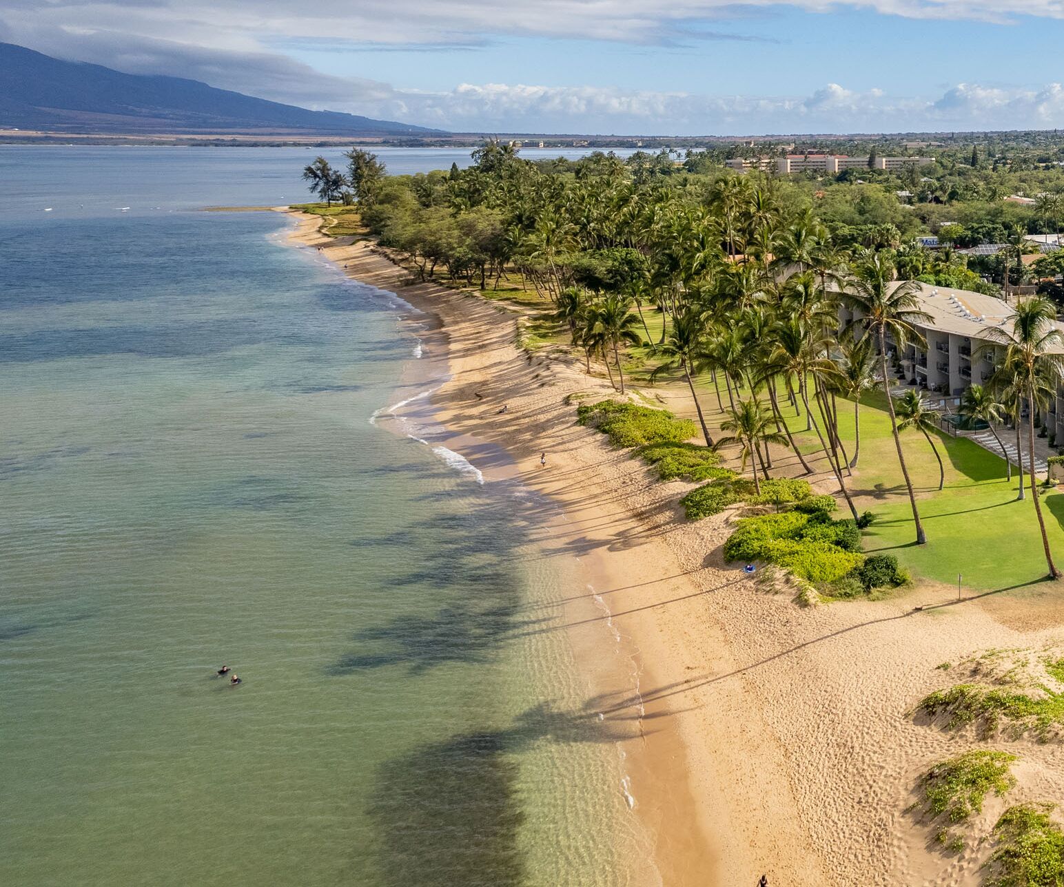 Sun-loungers, beach towels