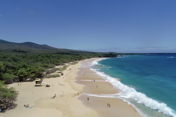 Sun loungers, beach towels