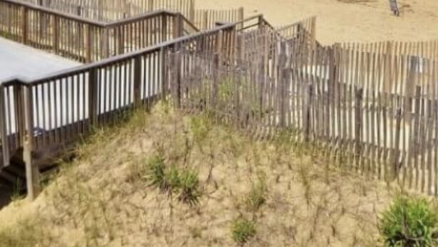 A beach with a wooden fence and a person walking on the sand. - Beach, Please! (Kill Devil Hills)