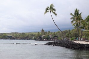 Overlooking a serene beach with palm trees and a rocky shoreline.