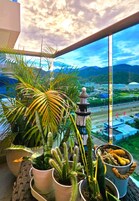 Un balcón con cactus en macetas y vistas a un paisaje urbano y montañas.