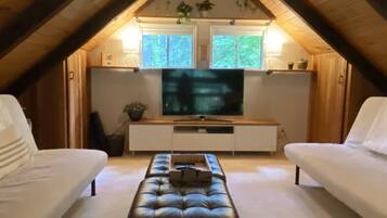 Una Smart TV, un reproductor de DVD, libros, una videoteca