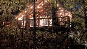 Une cabane entourée d’arbres, de nuit.