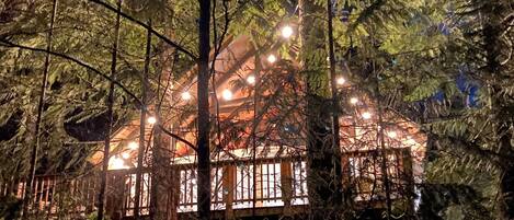 A cabin surrounded by trees at night.