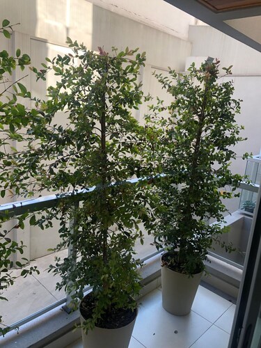 Monoambiente elegante en Salta