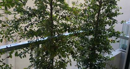 Monoambiente elegante en Salta