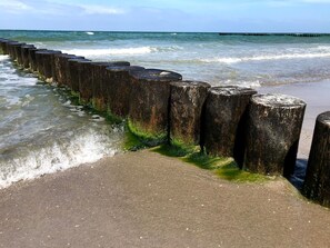 Imagem sem classificação, 3 de 19, botão