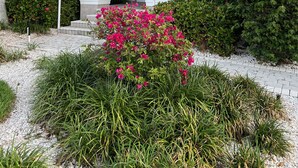 Een modern gebouw met een overdekte ingang, een palmboom en een keurig onderhouden tuin met roze bloemen.