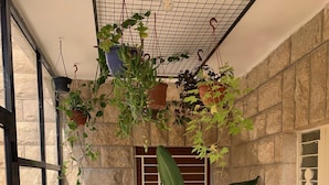 Un espace intérieur lumineux, baigné de soleil, avec des plantes suspendues, une fenêtre grillagée et un sol carrelé.