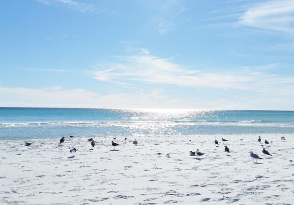 Beach nearby