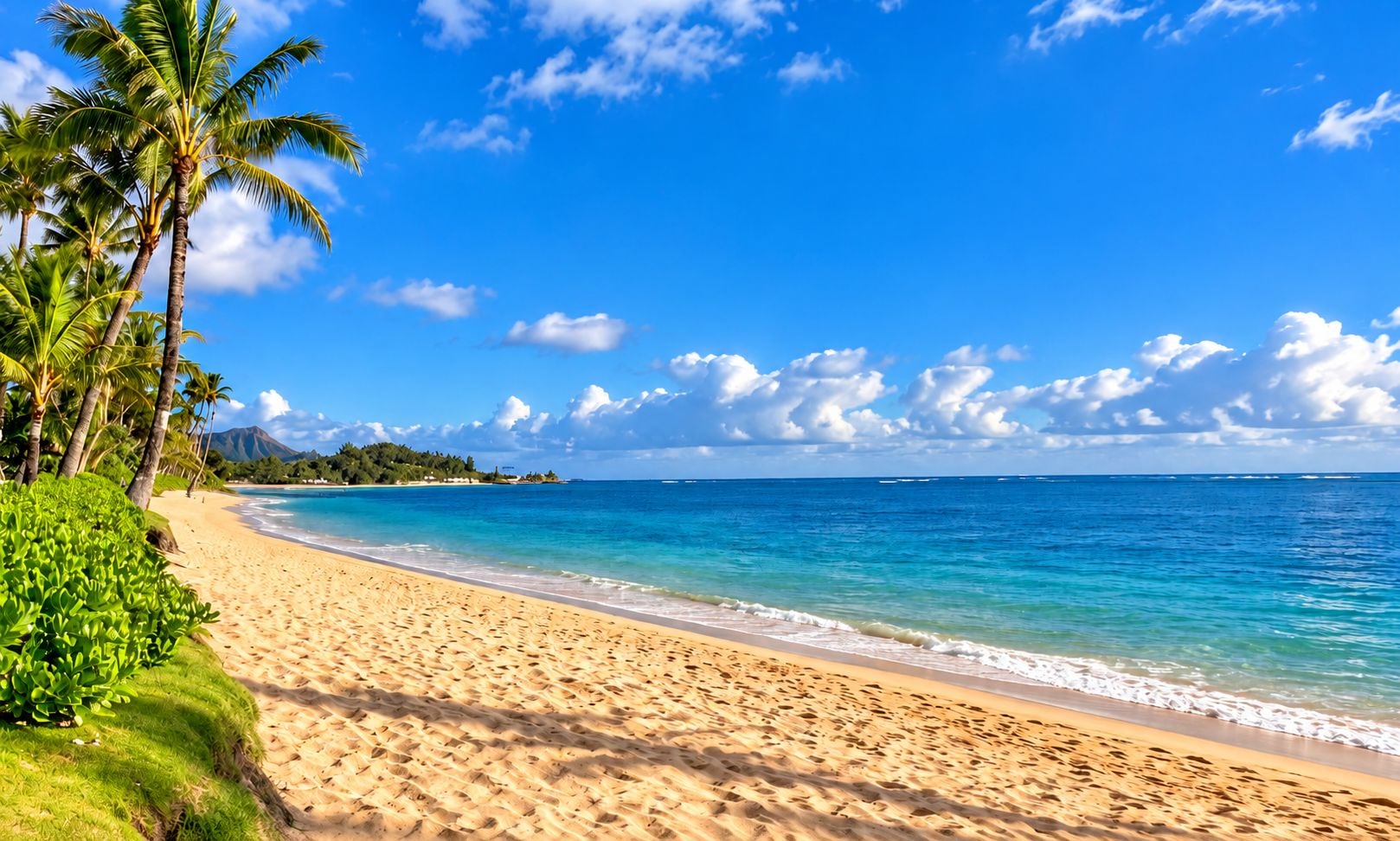 Una playa con aguas azules cristalinas, palmeras y una cadena montañosa distante.