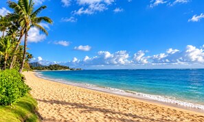 Una playa con aguas azules cristalinas, palmeras y una cadena montañosa distante.