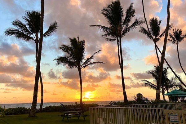 Àrea exterior de l'allotjament