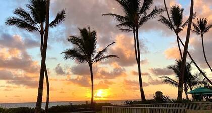 Island Life Retreat-Ocean Front-Beach Access
