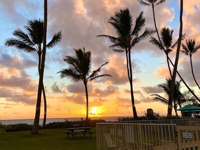 Island Life Retreat-Ocean Front-Beach Access