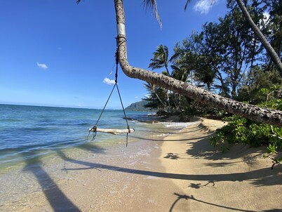 Island Life Retreat-Ocean Front-Beach Access
