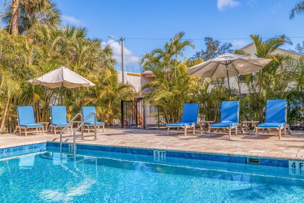 A swimming pool with lounge chairs and umbrellas, surrounded by palm trees and a building in the background.