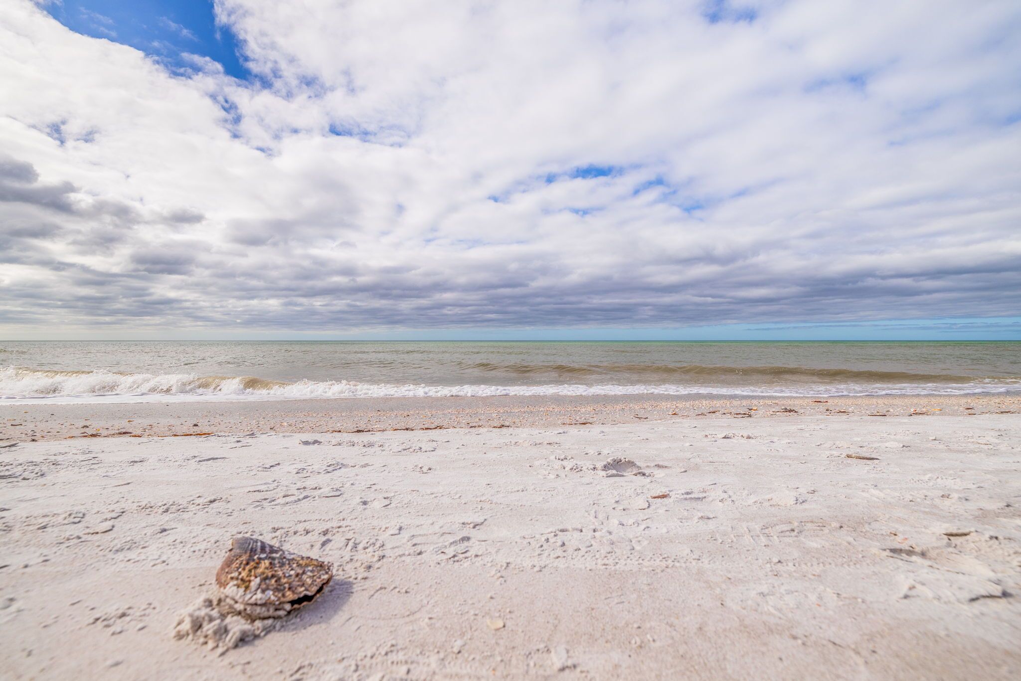 Een strand met een schelp in het zand en uitzicht op de oceaan onder een bewolkte lucht.