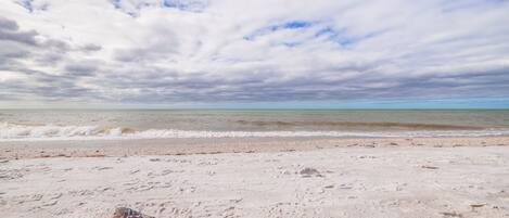 A beach with a shell on the sand and a view of the ocean under a cloudy sky.