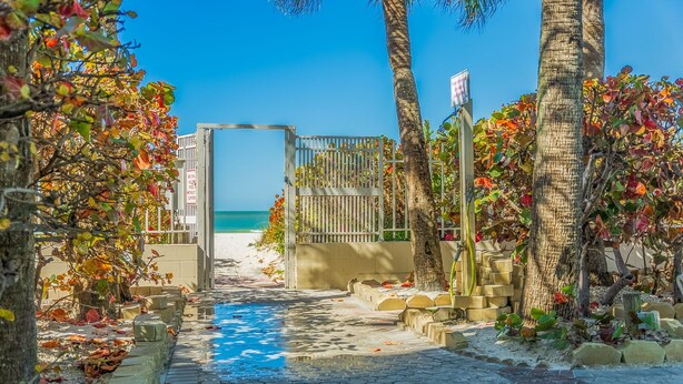 Een geplaveid pad dat naar een strand leidt, met palmbomen en een poort.