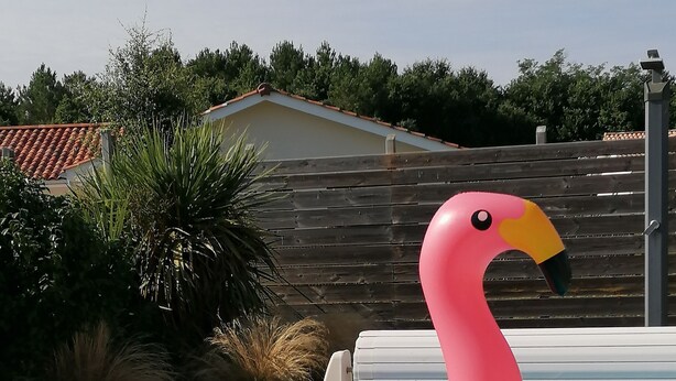 A pink inflatable flamingo in a swimming pool. - Léon: New House With Heated Pool and Private ; Handi-accessible (Léon)