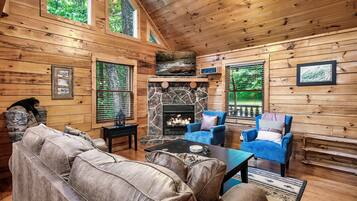 Smart TV, fireplace, video games, DVD player